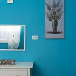 Ortensie * Ρώμη